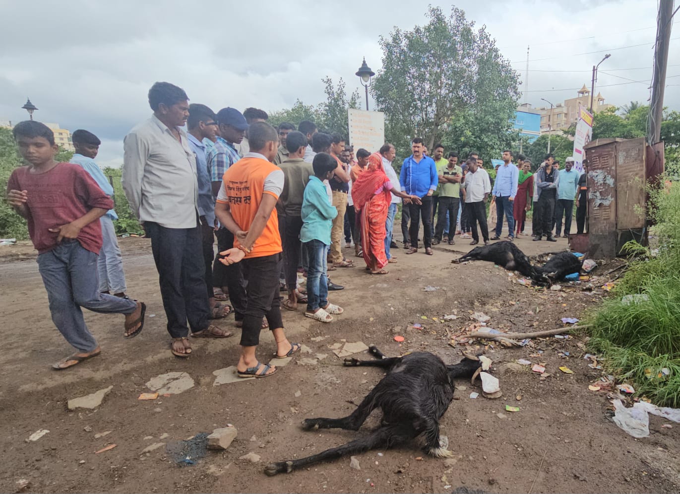 पिपंळे सौदागर येथे महावितरणचा हलगर्जीपणामुळे वीजेच्या धक्याने ३ शेळ्यांचा घेतला बळी, दोषींवर कडक कारवाई तसेच मेंढपाळास नुकसान भरपाई देण्याची - नाना काटे यांची मागणी