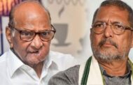 नाना पाटेकर खडकवासला मतदारसंघातून निवडणूक लढविणार का? शरद पवारांचे एका वाक्यात उत्तर…