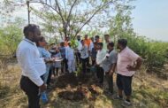 श्री क्षेत्र भंडारा डोंगर ट्रस्ट व मराठवाडा जनविकास संघाच्या वतीने वृक्षारोपण करून पर्यावरण दिन साजरा