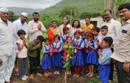 मराठवाडा जनविकास संघाच्यावतीने ओझरकरवाडी शाळेत जाळीसह वृक्षारोपण